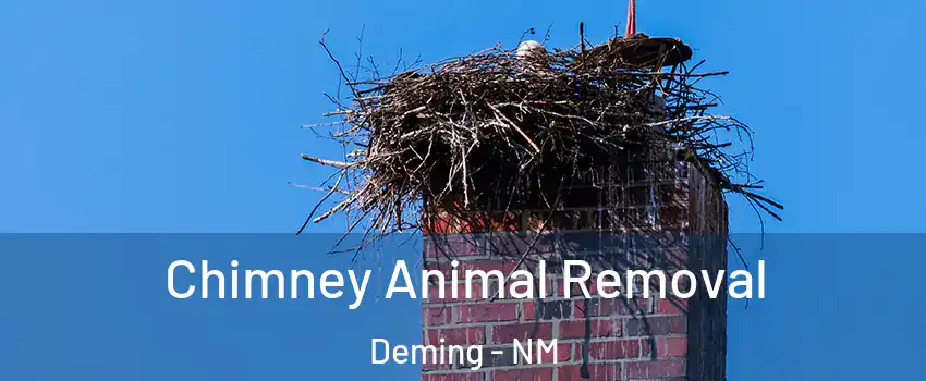  Chimney Animal Removal Deming - NM