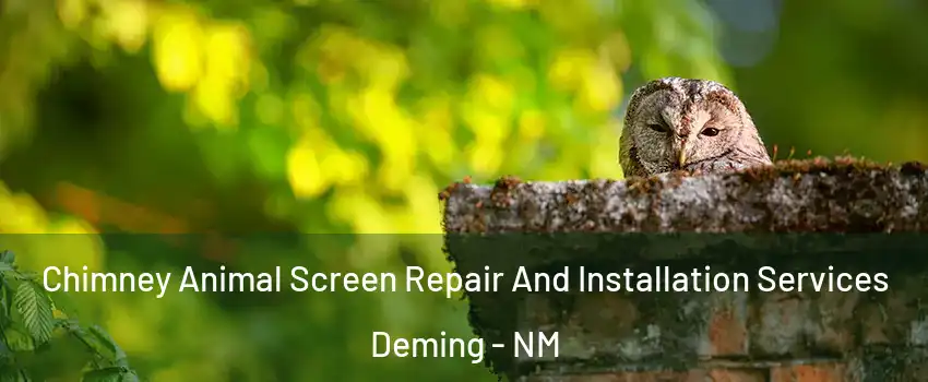  Chimney Animal Screen Repair And Installation Services Deming - NM