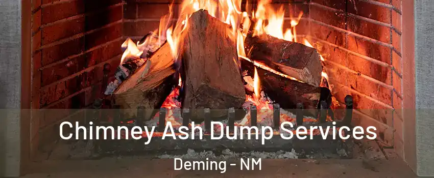  Chimney Ash Dump Services Deming - NM
