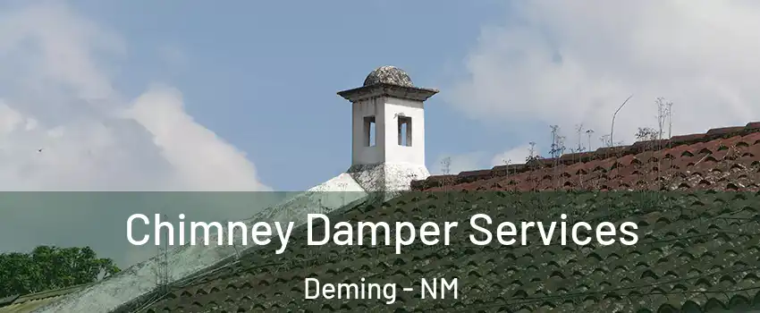  Chimney Damper Services Deming - NM