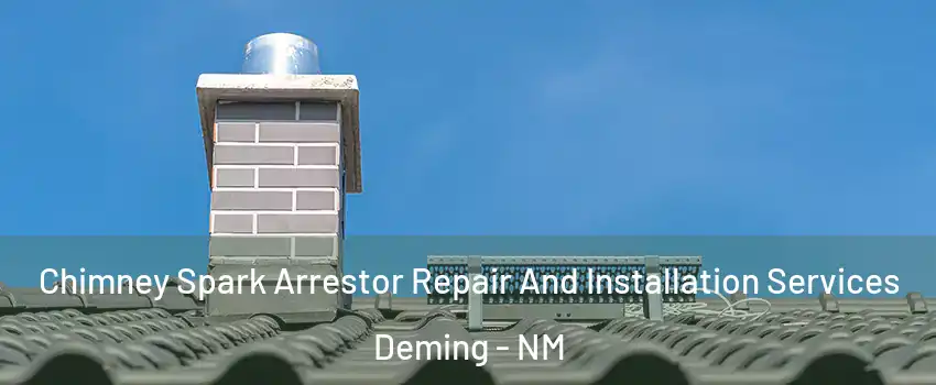  Chimney Spark Arrestor Repair And Installation Services Deming - NM