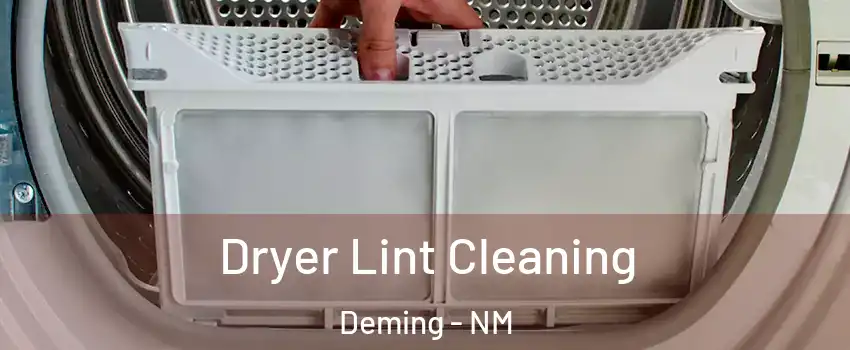  Dryer Lint Cleaning Deming - NM