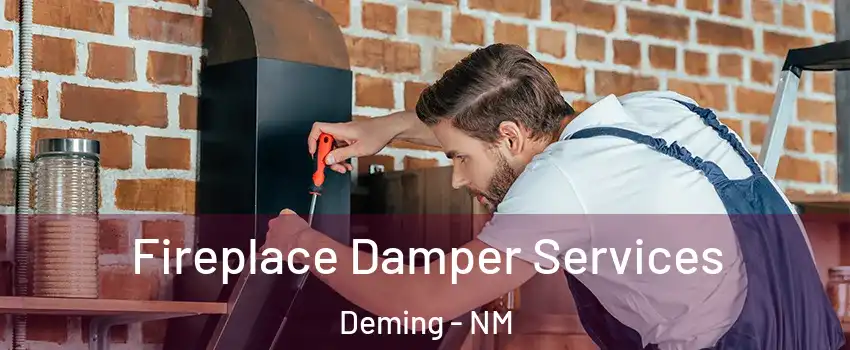  Fireplace Damper Services Deming - NM