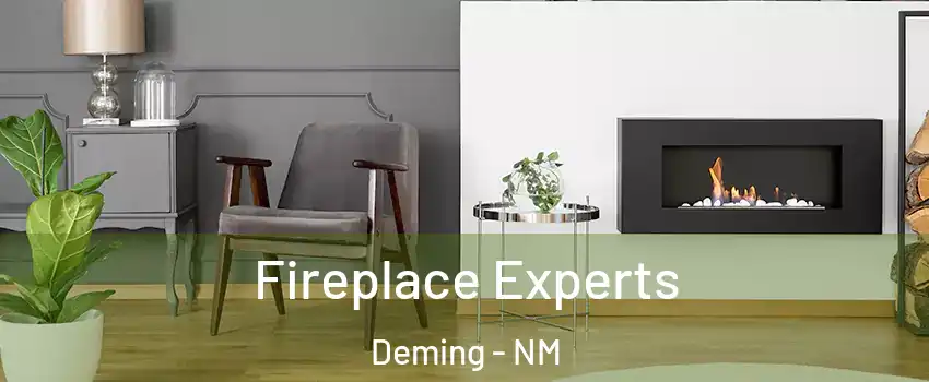  Fireplace Experts Deming - NM