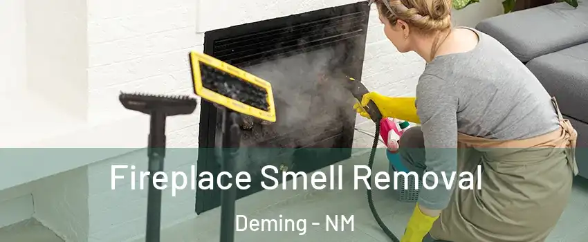  Fireplace Smell Removal Deming - NM