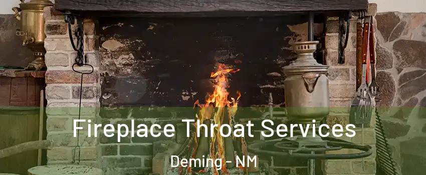  Fireplace Throat Services Deming - NM