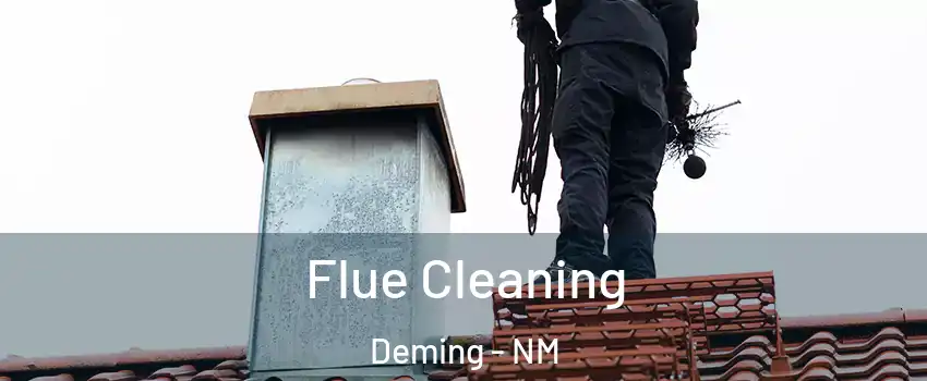  Flue Cleaning Deming - NM