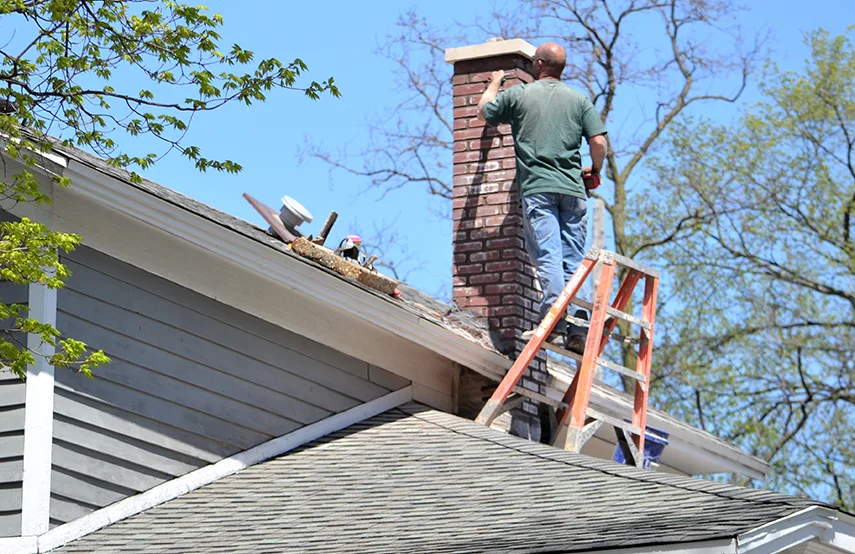 Chimney & Fireplace Inspections Services in Deming, NM