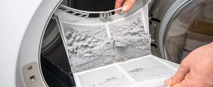 Best Dryer Lint Removal Company in Deming, New Mexico