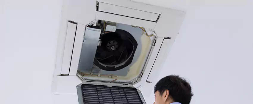 Benefits of Professional Air Duct Cleaning in Deming, New Mexico
