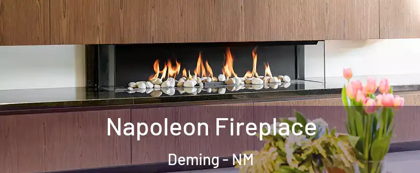  Napoleon Fireplace Deming - NM