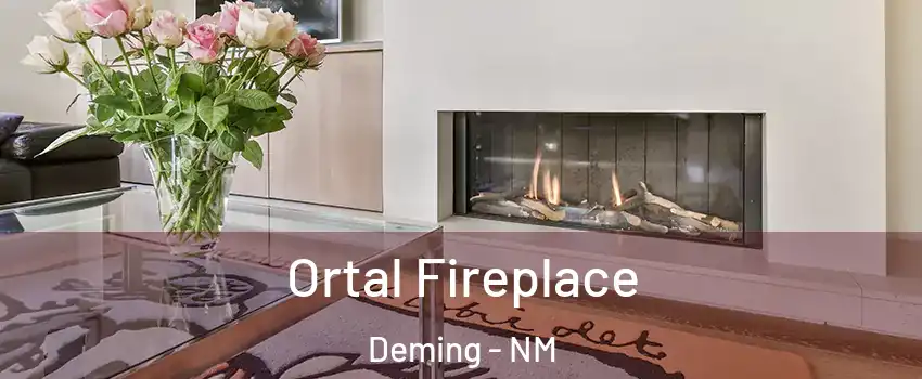  Ortal Fireplace Deming - NM