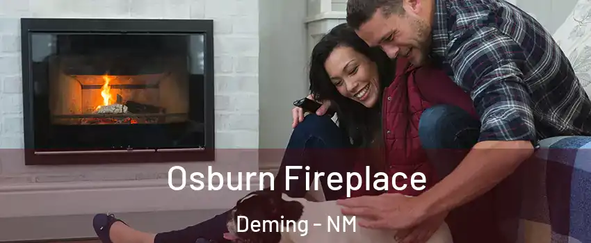  Osburn Fireplace Deming - NM